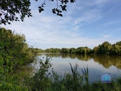 Přehýšovský rybník, okr. Plzeň-sever, cena 27250100 CZK / objekt, nabízí 