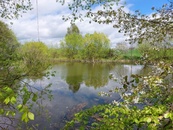 Prodej rybník, 12 045 m2 - Krásensko, cena 3200000 CZK / objekt, nabízí 
