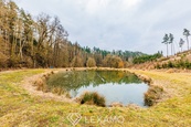 Prodej rybníků, 11 304 m2 - Mladoňovice, cena 1895000 CZK / objekt, nabízí