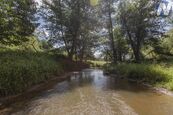 Prodej soustavy rybníků 1939 m2, Kříženec u Mariánských Lázní, možnost vodní elektrárny, cena 2950000 CZK / objekt, nabízí 