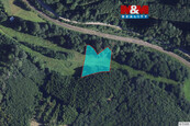 Prodej louky, 2421 m2, Biskupice, cena 105000 CZK / objekt, nabízí 