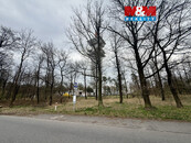 Prodej lesa, 3807 m2, Býšť, cena 430000 CZK / objekt, nabízí 