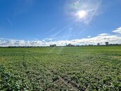 Stavební parcela na okraji města Dašice, cena 16900000 CZK / objekt, nabízí 